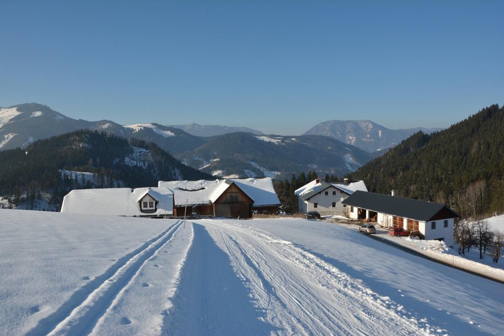 Klein Schöntal Bauernhof Göstling an der Ybbs